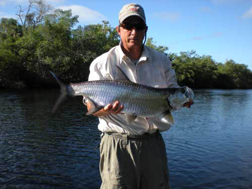 tarpon_cuba_mouche_riviere_coolflies_2